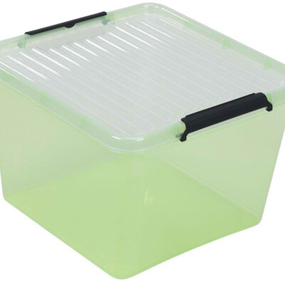 Kutija za odlaganje stvari Pack&Go 39x57x35cm 60L limeta