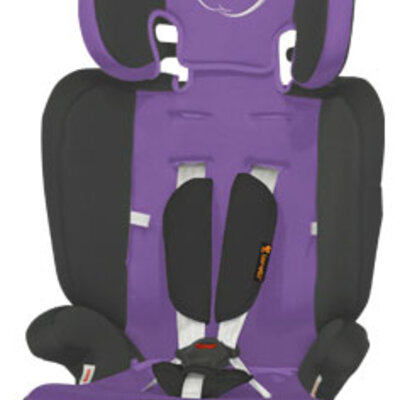 Bertoni Autosedište Maranello Grey Violet Apple