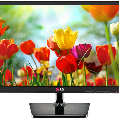 LG LED Monitor Dijagonale 49 cm 20EN33SS