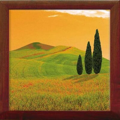 Yellow Sky - 49x49 E3EP