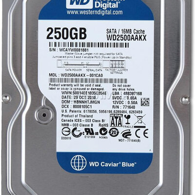 Western Digital Hard Disk Za Desktop Računare 250GB Blue WD2500AAKX