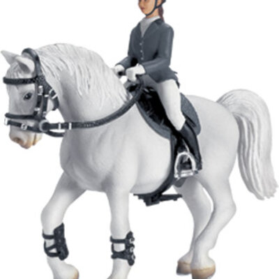 Schleich Domaće životinje - Oprema za preskakanje prepona 42020