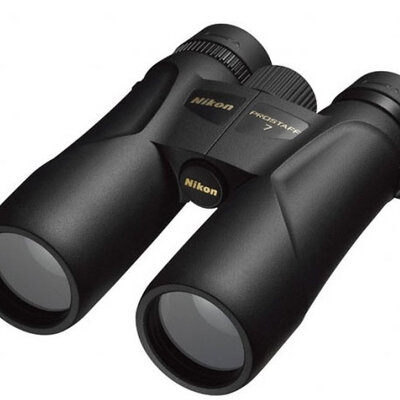 Dvogled Nikon Prostaff 7 10x42 BAA791YA