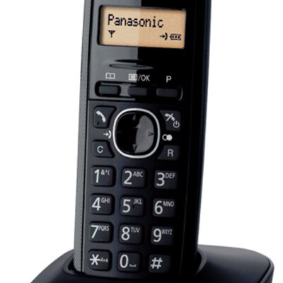 Bežični fiksni telefon Panasonic KX-TG1611FXH