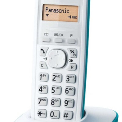 Bežični fiksni telefon Panasonic KX-TG1611FXC