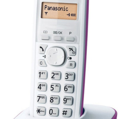 Bežični fiksni telefon Panasonic KX-TG1611FXF