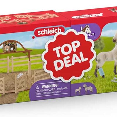 Schleich® Horse Club Figure Konji 2u1 Ograda za konje Prva pomoć i Konji 72242