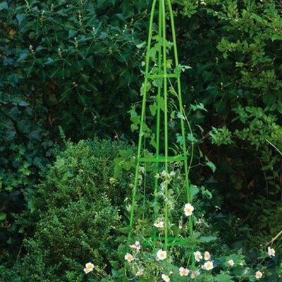 Baštenski Luk Piramida 31 x 31 x 200 cm Lifetime Garden