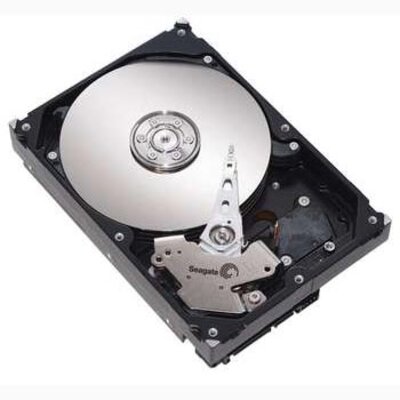 SEAGATE DiamondMax 160 GB