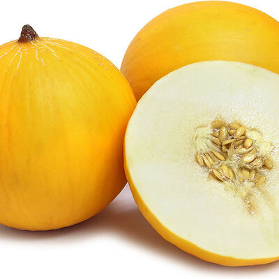 Seme - Dinja medna rosa 5 kesica Villager 004662