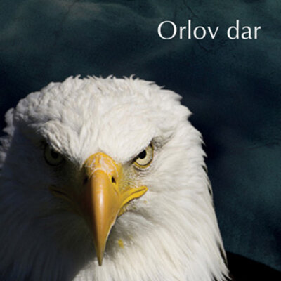 Orlov dar - Karlos Kastaneda