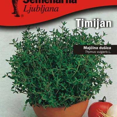 Majčina dušica - Timijan - Thymus vulgaris - seme 5 kesica Semenarna 1112