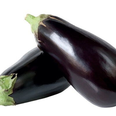 Seme za povrće 10 kesica - Plavi patlidžan domaći srednjedugi Villager 003611