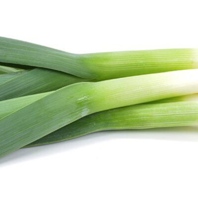 Praziluk karentan - seme 10 kesica Villager 004307