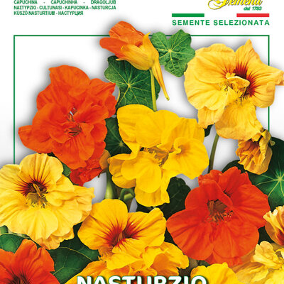 Seme za cveće 5 kesica Dragoljub niski mešavina Franchi Sementi Virimax