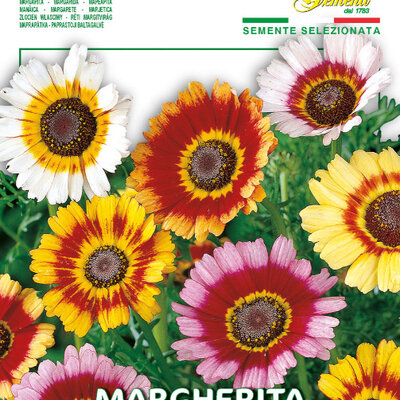 Seme 10 kesica za cveće Ivančica - Trobojna Margareta Franchi Sementi Virimax