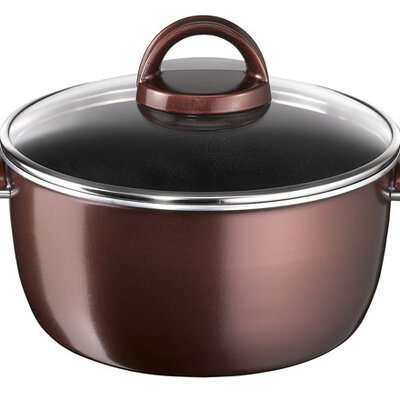 Šerpa sa poklopcem Tefal Sensorielle 24cm D2304652