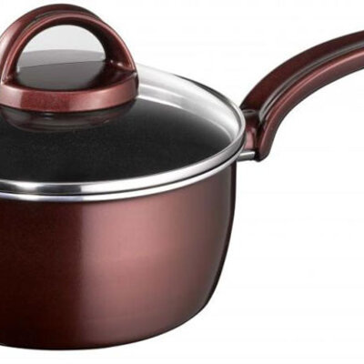 Šerpa sa poklopcem Tefal Sensorielle 16cm D2302252