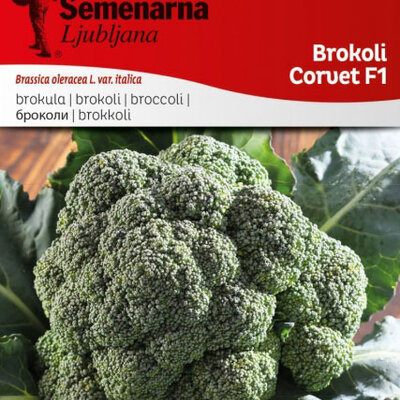 Povrće - seme 5 kesica - Brokoli Korvet F1- Brassica oleracea L. var. italica - 13