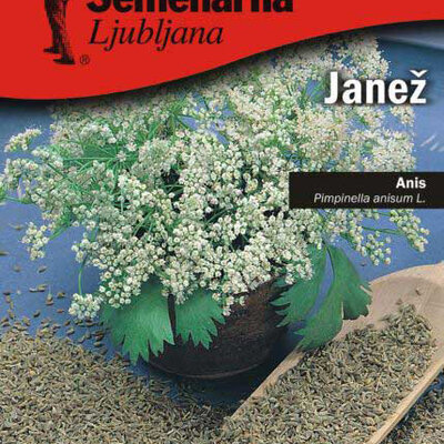 Seme za začin 5 kesica - Anis - Pimpinella anisum Semenarna 1101