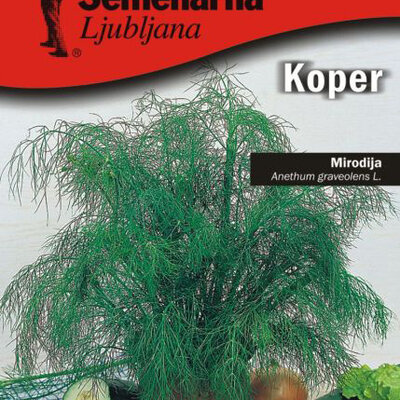 Mirođija - Anethum graveolens - seme 5 kesica Semenarna 1116