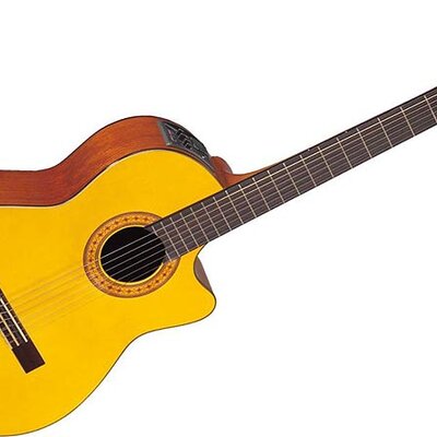 Klasična gitara sa ozvukom - Takamine EG124C