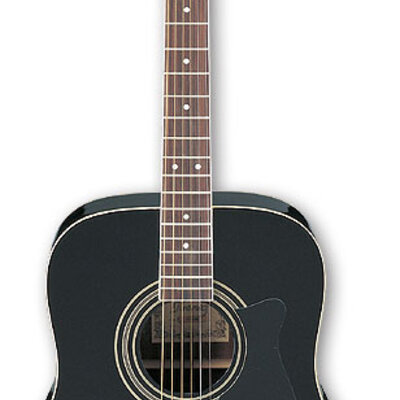 Akustična gitara - Ibanez V70