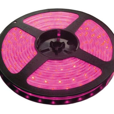 LED traka roze 30 LED / 1m LTR5050/30P-12  5 metara