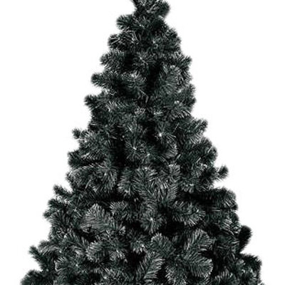 Crna Novogodišnja Jelka - Black Harmony - 150 cm