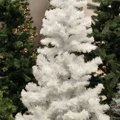 Bela Novogodišnja Jelka Garibaldi 220 cm