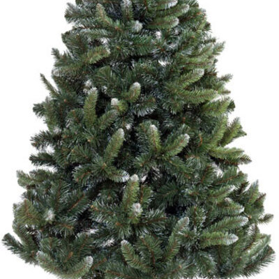 Novogodišnja Jelka Sa Belim Vrhovima - Eden Green 220 cm