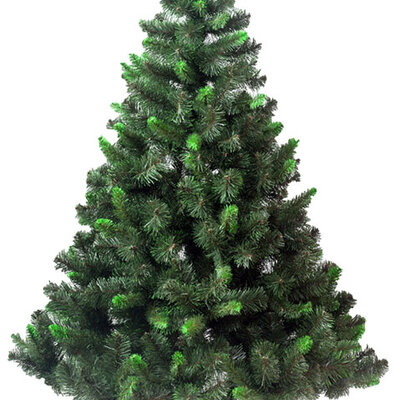 Novogodišnja Jelka Seward 120 cm