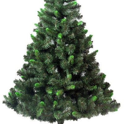 Novogodišnja Jelka Seward 250 cm