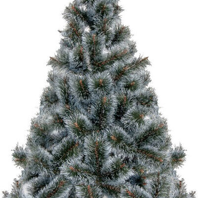 Novogodišnja Jelka 80 cm