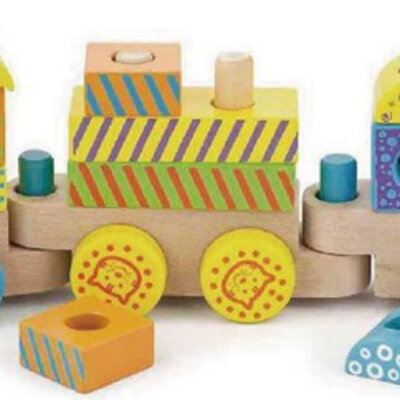 Šareni drveni vozić od kockica Viga Toys 50572B