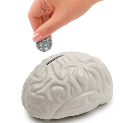 Kikkerland Kasica mozak PB19