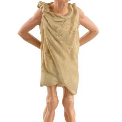 Schleich® Harry Potter™ figure Kućni vilenjak Dobi 13985