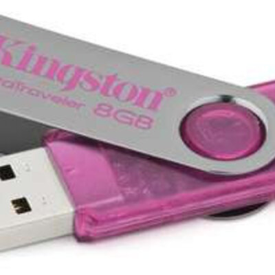 Kingston USB Flash Memorija DT101N/8GB pink