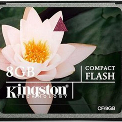 Memorijska kartica Kingston Compact Flash 8GB CF/8GB