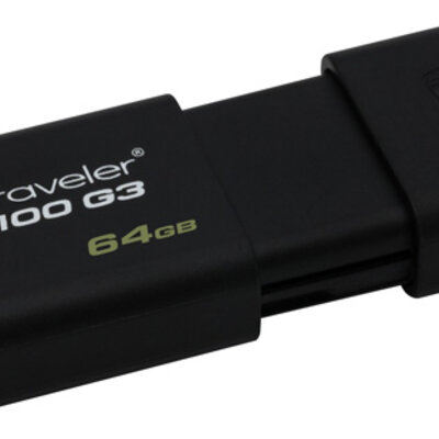 USB flash memorija Kingston DT100G3/8GB 