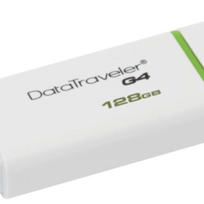 Kingston 128 GB USB 3.0 Flash Memorija DataTraveler G4 DTIG4/128GB