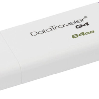 Kingston 64 GB USB 3.0 Flash Memorija DataTraveler G4 DTIG4/64GB