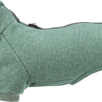 Odelo za pse leđa 33cm City Style Amsterdam dark green Trixie 68713