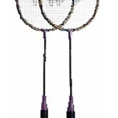 Badminton set 310
