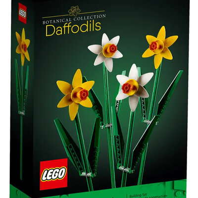 LEGO® Icons Kocke Narcisi 40646