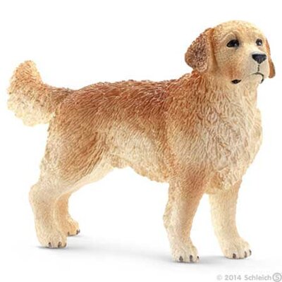 Schleich Domaće životinje - Zlatni retriver, mužjak 16394