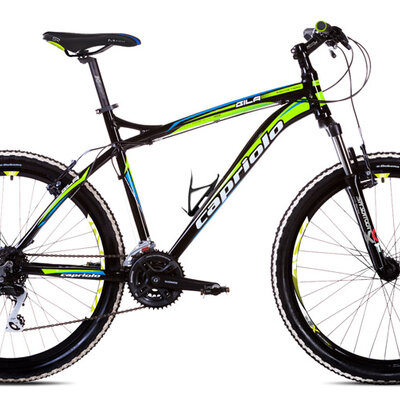 Bicikl Capriolo Gila 1.0 26/24AL crno zeleno 914500-20