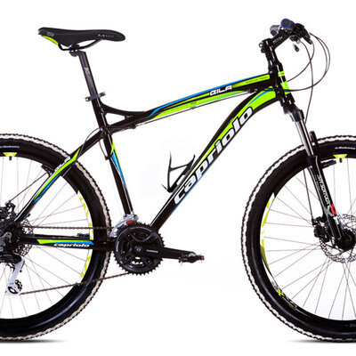 Bicikl Capriolo Gila 2.0 26/24AL crno zeleno 914506-22