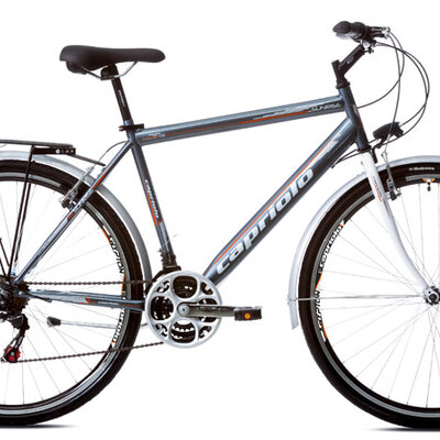 Bicikl Capriolo Sunrise Tour Man 28/18HT siva bela 914592-20