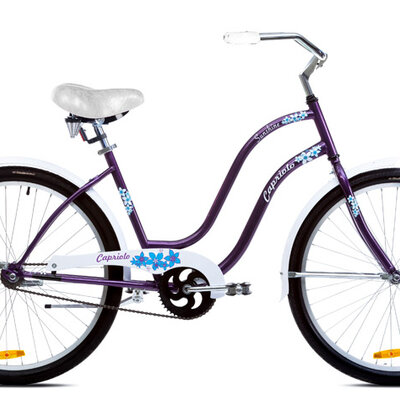 Bicikl Capriolo Sunshine 26HT ljubičasto plavo 914586-18
